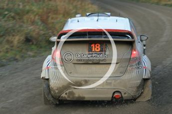 © North One Sport Ltd 2011 / Octane Photographic Ltd 2011. 12th November 2011 Wales Rally GB, WRC SS17 Myherin. Digital Ref : 0198cb1d9501