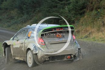 © North One Sport Ltd 2011 / Octane Photographic Ltd 2011. 12th November 2011 Wales Rally GB, WRC SS17 Myherin. Digital Ref : 0198cb1d9653