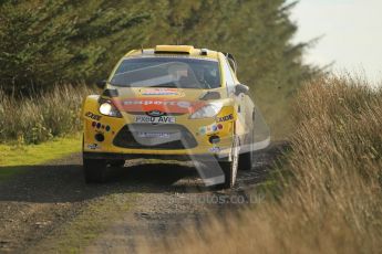 © North One Sport Ltd 2011 / Octane Photographic Ltd 2011. 13th November 2011 Wales Rally GB, WRC SS21 Halfway. Henning Solberg and Ilka Minor in their Ford Fiesta RS WRC, Digital Ref : 0200CB1D9708