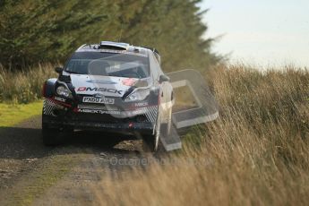 © North One Sport Ltd 2011 / Octane Photographic Ltd 2011. 13th November 2011 Wales Rally GB, WRC SS21 Halfway. Ott Tanak in his DMack tyre equipped Ford Fiesta RS WRC. Digital Ref : 0200CB1D9748