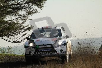 © North One Sport Ltd 2011 / Octane Photographic Ltd 2011. 13th November 2011 Wales Rally GB, WRC SS21 Halfway. Matthew Wilson and Scott Martin in their Ford Fiesta RS WRC. Digital Ref : 0200LW7D8709