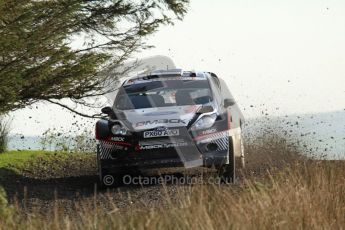 © North One Sport Ltd 2011 / Octane Photographic Ltd 2011. 13th November 2011 Wales Rally GB, WRC SS21 Halfway. Ott Tanak in his DMack tyre equipped Ford Fiesta RS WRC. Digital Ref : 0200LW7D8736