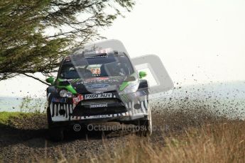 © North One Sport Ltd 2011 / Octane Photographic Ltd 2011. 13th November 2011 Wales Rally GB, WRC SS21 Halfway. Ken Block and Alex Gelsomino in their Ford fiesta RS WRC, Digital Ref : 0200LW7D8789