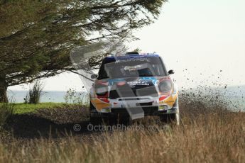 © North One Sport Ltd 2011 / Octane Photographic Ltd 2011. 13th November 2011 Wales Rally GB, WRC SS21 Halfway. Armindo Araujo and Miguel Ramalho in their Mini John Cooper Works, Digital Ref : 0200LW7D8806