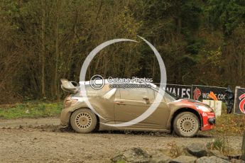 © North One Sport Ltd 2011 / Octane Photographic Ltd 2011. 11th November 2011 Wales Rally GB, WRC SS7 Dyfnant. Digital Ref :