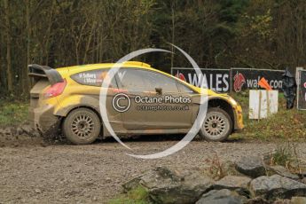 © North One Sport Ltd 2011 / Octane Photographic Ltd 2011. 11th November 2011 Wales Rally GB, WRC SS7 Dyfnant. Digital Ref :