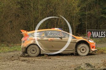 © North One Sport Ltd 2011 / Octane Photographic Ltd 2011. 11th November 2011 Wales Rally GB, WRC SS7 Dyfnant. Digital Ref :