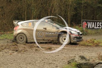 © North One Sport Ltd 2011 / Octane Photographic Ltd 2011. 11th November 2011 Wales Rally GB, WRC SS7 Dyfnant. Digital Ref :
