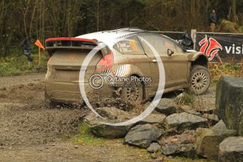 © North One Sport Ltd 2011 / Octane Photographic Ltd 2011. 11th November 2011 Wales Rally GB, WRC SS7 Dyfnant. Digital Ref :