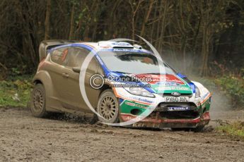 © North One Sport Ltd 2011 / Octane Photographic Ltd 2011. 11th November 2011 Wales Rally GB, WRC SS7 Dyfnant. Digital Ref :