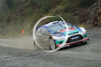 © North One Sport Ltd 2011 / Octane Photographic Ltd 2011. 11th November 2011 Wales Rally GB, WRC SS9 Dyfi East. Digital Ref :