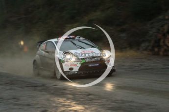 © North One Sport Ltd 2011 / Octane Photographic Ltd 2011. 11th November 2011 Wales Rally GB, WRC SS9 Dyfi East. Digital Ref :