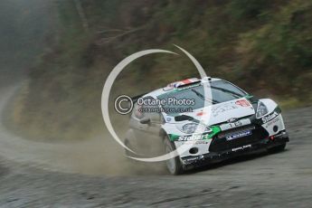 © North One Sport Ltd 2011 / Octane Photographic Ltd 2011. 11th November 2011 Wales Rally GB, WRC SS9 Dyfi East. Digital Ref :