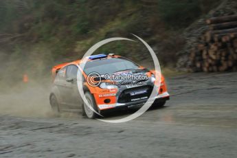 © North One Sport Ltd 2011 / Octane Photographic Ltd 2011. 11th November 2011 Wales Rally GB, WRC SS9 Dyfi East. Digital Ref :