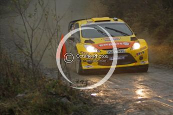 © North One Sport Ltd 2011 / Octane Photographic Ltd 2011. 11th November 2011 Wales Rally GB, WRC SS9 Dyfi East. Digital Ref :