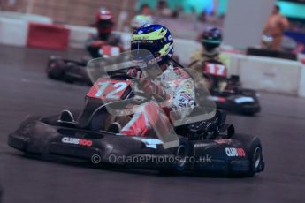 © Octane Photographic Ltd. 2012. Autosport International 2012 Celebrity Karting for the Race To Recovery charity. 12th January 2012. Digital Ref : 0206cb1d1560