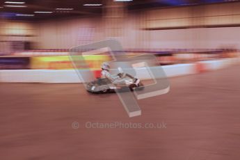 © Octane Photographic Ltd. 2012. Autosport International 2012 Celebrity Karting for the Race To Recovery charity. 12th January 2012. Digital Ref : 0206LW7D1385