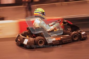 © Octane Photographic Ltd. 2012. Autosport International 2012 Celebrity Karting for the Race To Recovery charity. 12th January 2012. Digital Ref : 0206LW7D1736