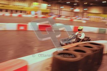 © Octane Photographic Ltd. 2012. Autosport International 2012 Celebrity Karting for the Race To Recovery charity. 12th January 2012. Digital Ref : 0206LW7D2231