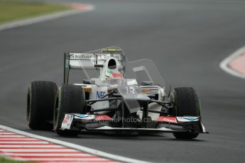 © 2012 Octane Photographic Ltd. Hungarian GP Hungaroring - Friday 27th July 2012 - F1 Practice 2. Sauber C31 - Sergio Perez. Digital Ref : 0426lw1d6122