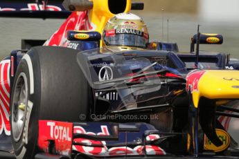 © 2012 Octane Photographic Ltd. Hungarian GP Hungaroring - Friday 27th July 2012 - F1 Practice 2. Red Bull RB8 - Sebastian Vettel. Digital Ref : 0426lw7d5181