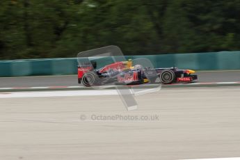 © 2012 Octane Photographic Ltd. Hungarian GP Hungaroring - Friday 27th July 2012 - F1 Practice 2. Red Bull RB8 - Mark Webber. Digital Ref : 0426lw7d5669