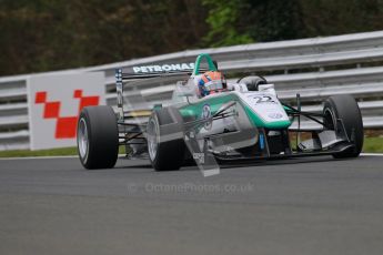 © 2012 Octane Photographic Ltd. Saturday 7th April. Cooper Tyres British F3 International - Race 2. Digital Ref : 0281lw1d3040
