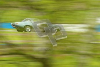 © Octane Photographic Ltd. 2012 Donington Historic Festival. E-type Challenge, qualifying. Jaguar E-type - Per Jonsson. Digital Ref : 0317cb1d8148
