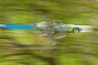 © Octane Photographic Ltd. 2012 Donington Historic Festival. E-type Challenge, qualifying. Jaguar E-type - Harry Wyndham. Digital Ref : 0317cb1d8157