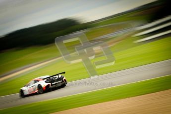 © Chris Enion/Octane Photographic Ltd 2012. FIA GT1 Championship, Donington Park, Sunday 30th September 2012. Digital Ref : 0533ce1d0112