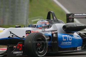 © Octane Photographic Ltd. 2012. DTM – Brands Hatch - Formula 3 Euro Series - Race 2. Saturday 19th May 2012. Digital Ref : 0344lw7d4075