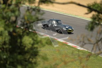 © 2012 Octane Photographic Ltd. HSCC Historic Super Prix - Brands Hatch - 30th June 2012. HSCC - Guards Trophy - Qualifying. Scragg - Jaguar E-Type. Digital Ref: 0379lw1d0238