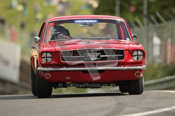 © 2012 Octane Photographic Ltd. HSCC Historic Super Prix - Brands Hatch - 1st July 2012. HSCC - Historic Touring Cars - Qualifying. Warren Briggs - Ford Mustang. Digital Ref: 0384lw1d1091
