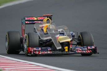 © 2012 Octane Photographic Ltd. Hungarian GP Hungaroring - Sunday 29th July 2012 - F1 Race. Red Bull RB8 - Sebastian Vettel. Digital Ref :