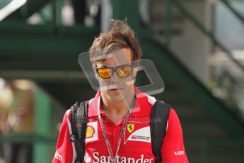 © 2012 Octane Photographic Ltd. Hungarian GP Hungaroring - Saturday 28th July 2012 - F1 Practice 3. Ferrari F2012 - Fernando Alonso. Digital Ref : 0429lw7d5903