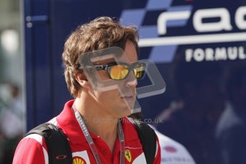 © 2012 Octane Photographic Ltd. Hungarian GP Hungaroring - Saturday 28th July 2012 - F1 Practice 3. Ferrari F2012 - Fernando Alonso. Digital Ref : 0429lw7d5908