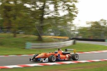 World © Octane Photographic Ltd. FIA European F3 Championship. Friday 17th May 2013. Mucke Motorsport – Dallara F312 Mercedes – Felix Rosenqvist. Digital Ref :