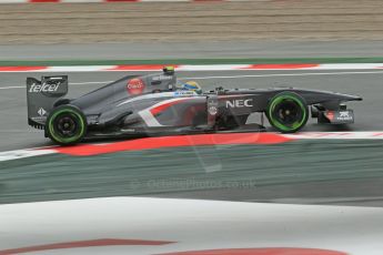 World © Octane Photographic Ltd. F1 Spanish GP, Circuit de Catalunya, Friday 10th May 2013. Practice 1. Esteban Gutierrez - Sauber. Digital Ref : 0659cb1d9041