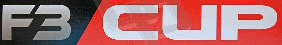 World © Octane Photographic Ltd. F3 Cup, Silverstone, April 27th 2013. F3 Cup logo. Digital Ref : 0642cb7d9295