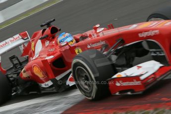 World © Octane Photographic Ltd. F1 German GP - Nurburgring. Friday 5th July 2013 - Practice two. Scuderia Ferrari F138 - Fernando Alonso. Digital Ref : 0741lw1d4597