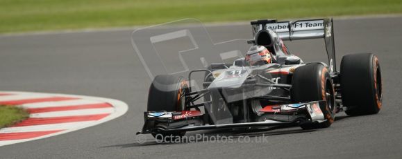 World © Octane Photographic Ltd. F1 British GP - Silverstone, Saturday 29th June 2013 - Practice 3. Williams FW35 - Pastor Maldonado. Digital Ref : 0729lw1d0515