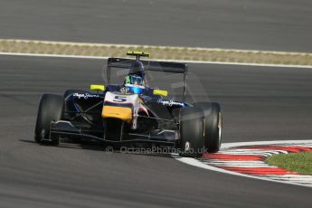 World © Octane Photographic Ltd. Saturday 6th July 2013. Dallara GP3/13 - German GP - Nurburgring - Qualifying. MW Arden – Robert Visolu. Digital ref : 0743lw1d5917