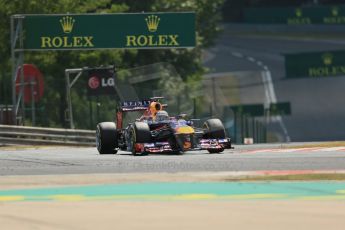 World © Octane Photographic Ltd. F1 Hungarian GP - Hungaroring. Friday 26th July 2013. F1 Practice 2. Infiniti Red Bull Racing RB9 - Sebastian Vettel. Digital Ref : 0760lw1d1867