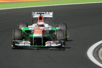 World © Octane Photographic Ltd. F1 Hungarian GP - Hungaroring. Thursday 25th July 2013. F1 Practice 2. Sahara Force India VJM06 - Paul di Resta. Digital Ref : 0760lw1d2034