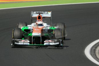 World © Octane Photographic Ltd. F1 Hungarian GP - Hungaroring. Thursday  25th July 2013. F1 Practice 2. Sahara Force India VJM06 - Paul di Resta. Digital Ref : 0760lw1d2034