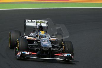 World © Octane Photographic Ltd. F1 Hungarian GP - Hungaroring. Friday 26th July 2013. F1 Practice 2. Sauber C32 - Esteban Gutierrez. Digital Ref : 0760lw1d2085