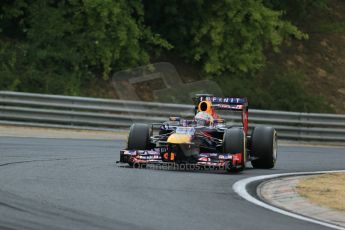 World © Octane Photographic Ltd. F1 Hungarian GP - Hungaroring. Saturday 27th July 2013. F1 Qualifying. Infiniti Red Bull Racing RB9 - Sebastian Vettel. Digital Ref : 0764lw1d4209