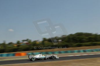 World © Octane Photographic Ltd. F1 Hungarian GP - Hungaroring, Saturday 27th July 2013 - Practice 3. Mercedes AMG Petronas F1 W04 – Lewis Hamilton. Digital Ref : 0763lw1d0896