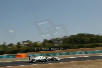 World © Octane Photographic Ltd. F1 Hungarian GP - Hungaroring, Saturday 27th July 2013 - Practice 3. Mercedes AMG Petronas F1 W04 – Lewis Hamilton. Digital Ref : 0763lw1d0896