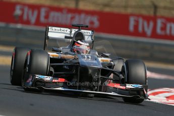 World © Octane Photographic Ltd. F1 Hungarian GP - Hungaroring, Saturday 27th July 2013 - Practice 3. Sauber C32 - Nico Hulkenberg. Digital Ref : 0763lw1d3100